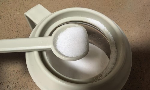 大树骨碎补的作用和功效-专业大树集团骨力康对骨坏死有用嗎平台-挂在树上种骨碎补的