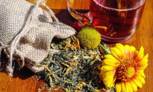大树骨碎补的作用和功效-专业大树集团骨力康对骨坏死有用嗎平台-挂在树上种骨碎补的