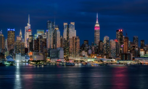 大树跌打的功效与作用-大树骨碎补的作用和功效-专业大树集团骨力康对骨坏死有用嗎平台-挂在树上种骨碎补的