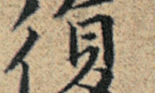 大树骨碎补的作用和功效-专业大树集团骨力康对骨坏死有用嗎平台-挂在树上种骨碎补的
